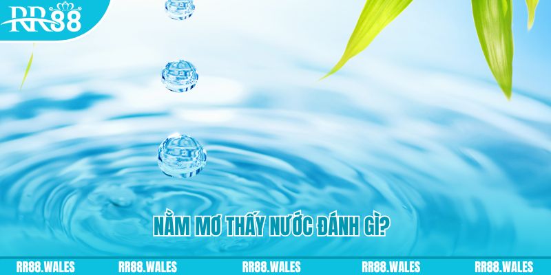 sv368 xổ số trực tiếp miền bắc