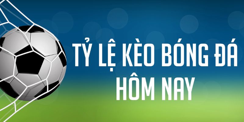 sv368 đăng nhập phỏm