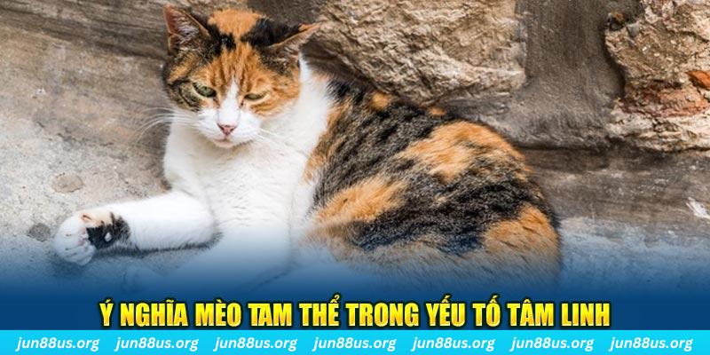 máy slot game là loại trò chơi gì?