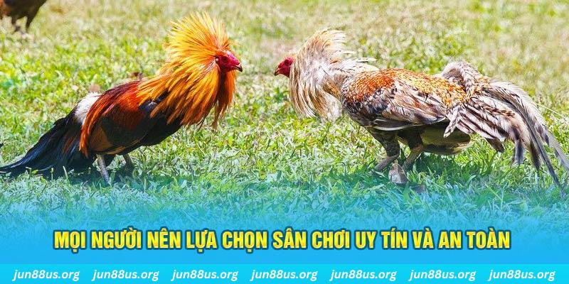 sv368 đăng nhập poker 2025