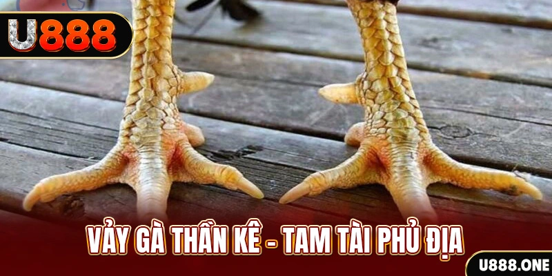 sv368 so xo mien trung