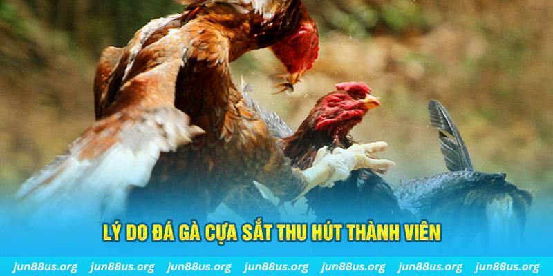 sv368 nổ hũ ăn bao nhiêu
