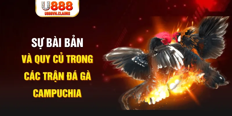 sv368 game xếp bài trên máy tính