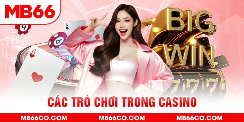 sv368 chổi lông gà