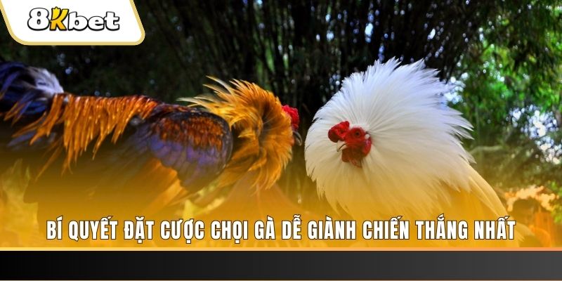 sv368 nổ hũ chơi như thế nào