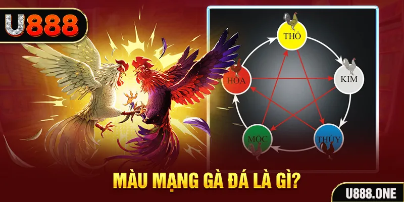 sv368 V8 Game Bài 3d
