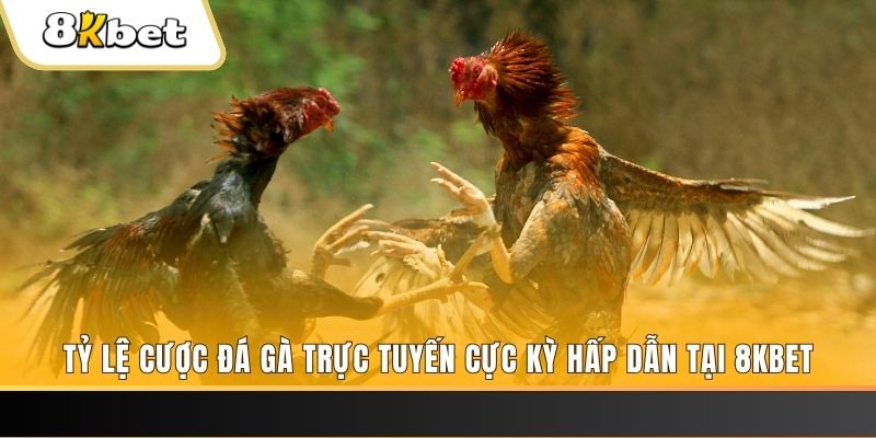 sv368 xổ số miền bắc chủ nhật