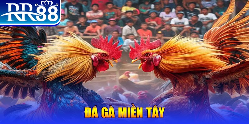sv368 đăng nhập liêng đổi thưởng