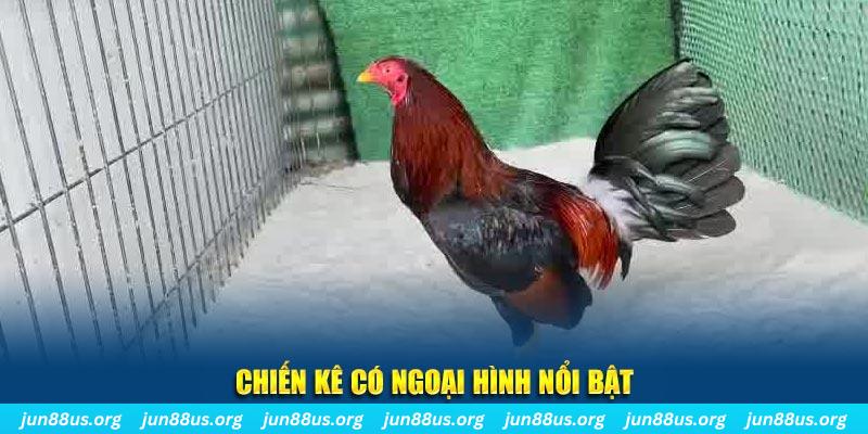 sv368 qq88 bắn cá