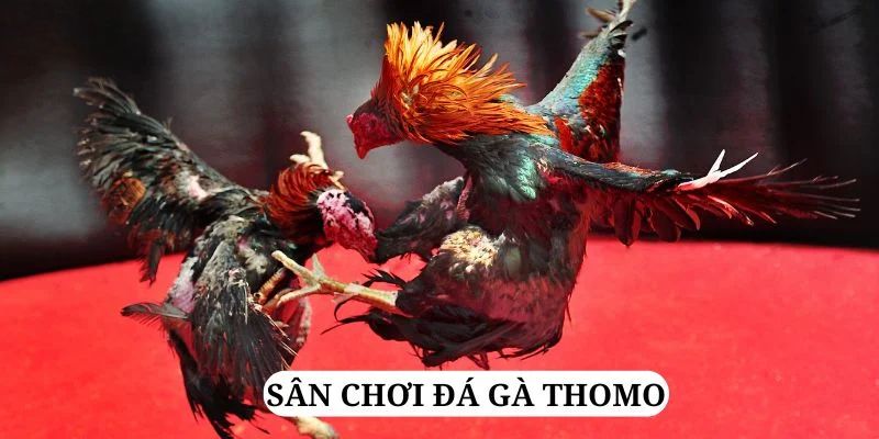 sv368 quay nổ hũ là gì