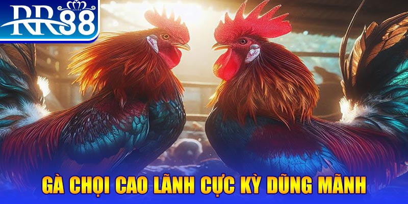 sv368 đăng nhập poker live